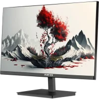 Монитор RDW Computers RDW2401K фото 1